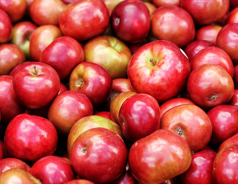 Programa de Fruta y Leche